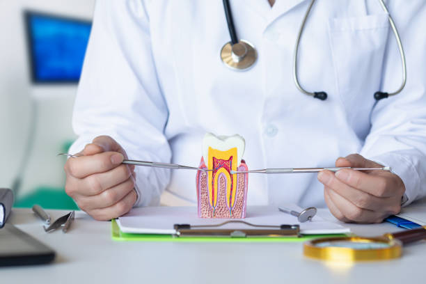 Best Urgent Dental Care for Toothache in Toledo, OH